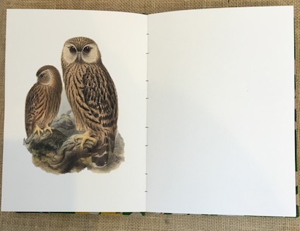 Daybooks |  Birds |  inside owls| McAtamney Gallery and Design Store | Geraldine NZ